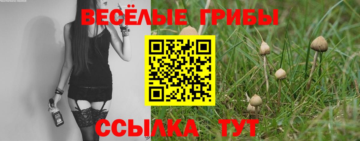 Саров  купить наркотики сайты  Вход с VPN  Галлюциногенные грибы мухоморы  Псилоцибиновые грибы ЛСД 